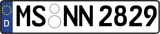 MS-NN2829