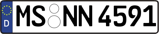 MS-NN4591