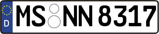 MS-NN8317