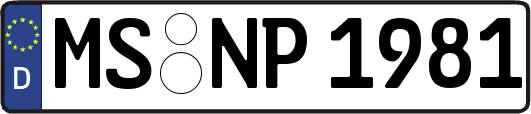 MS-NP1981