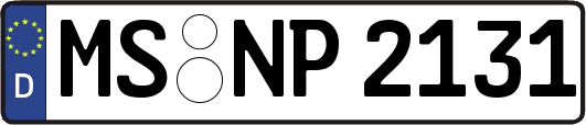 MS-NP2131