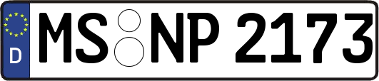 MS-NP2173