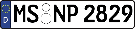 MS-NP2829