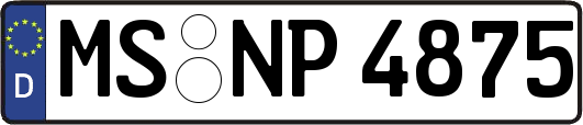 MS-NP4875