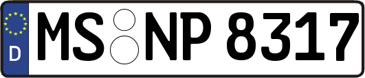MS-NP8317