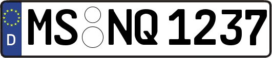MS-NQ1237