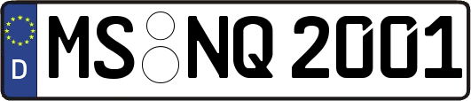 MS-NQ2001