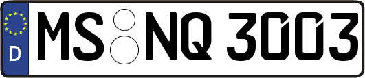 MS-NQ3003