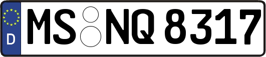 MS-NQ8317