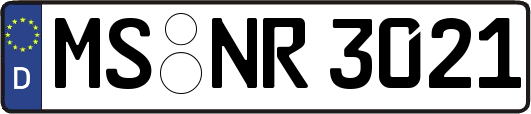 MS-NR3021