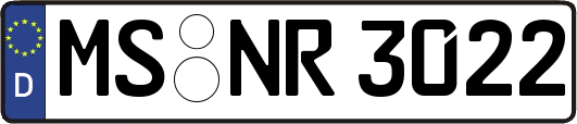 MS-NR3022