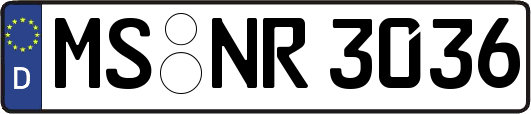 MS-NR3036