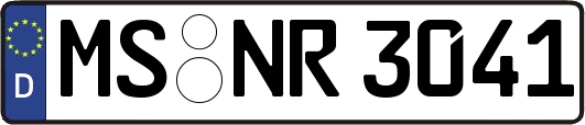 MS-NR3041