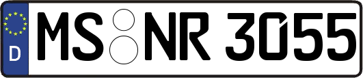 MS-NR3055