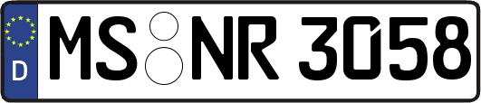 MS-NR3058