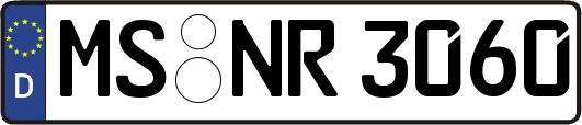 MS-NR3060
