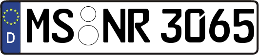 MS-NR3065