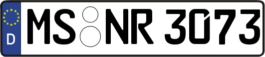 MS-NR3073