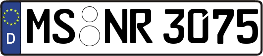 MS-NR3075