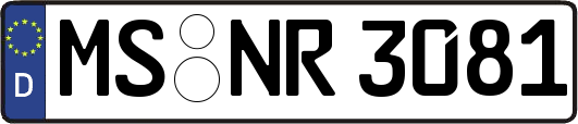 MS-NR3081