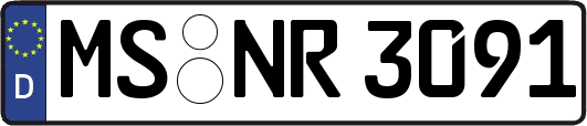 MS-NR3091