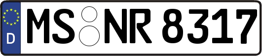 MS-NR8317