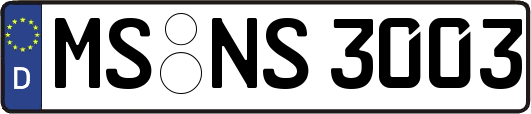 MS-NS3003