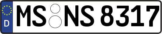 MS-NS8317
