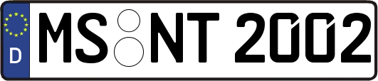 MS-NT2002