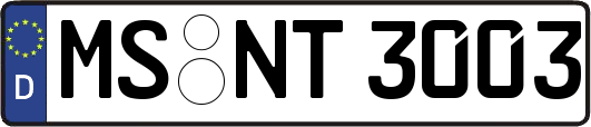 MS-NT3003