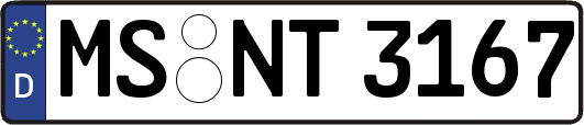 MS-NT3167