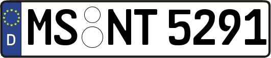 MS-NT5291