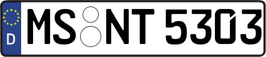MS-NT5303