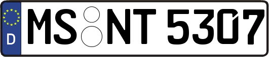 MS-NT5307