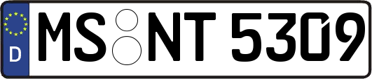 MS-NT5309