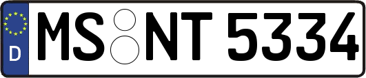 MS-NT5334