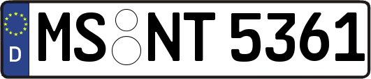 MS-NT5361