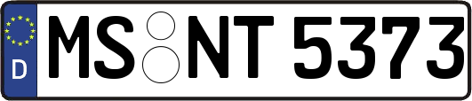 MS-NT5373