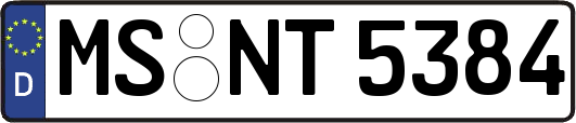 MS-NT5384
