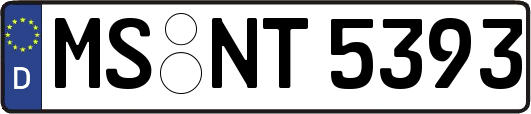 MS-NT5393