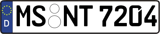 MS-NT7204