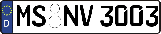 MS-NV3003