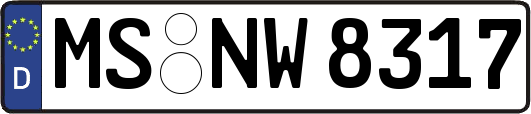 MS-NW8317