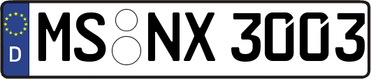 MS-NX3003
