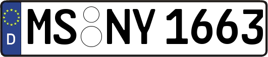 MS-NY1663