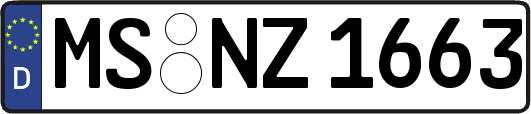 MS-NZ1663
