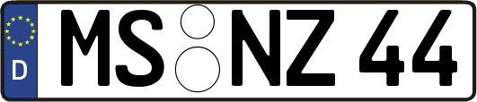 MS-NZ44