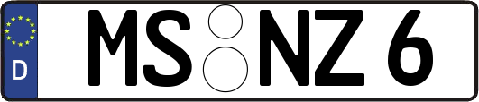 MS-NZ6