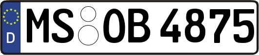 MS-OB4875