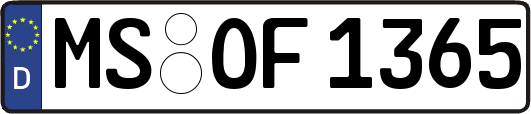 MS-OF1365